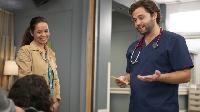 Greys Anatomy